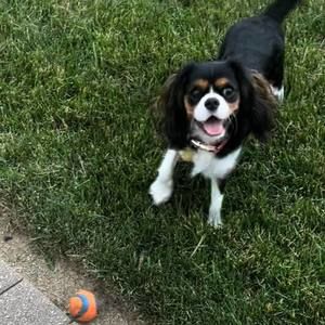 Meet your Posher, Sheri